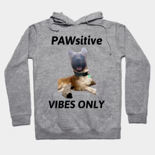 PAWsitive Vibes Only Dog Hoodie